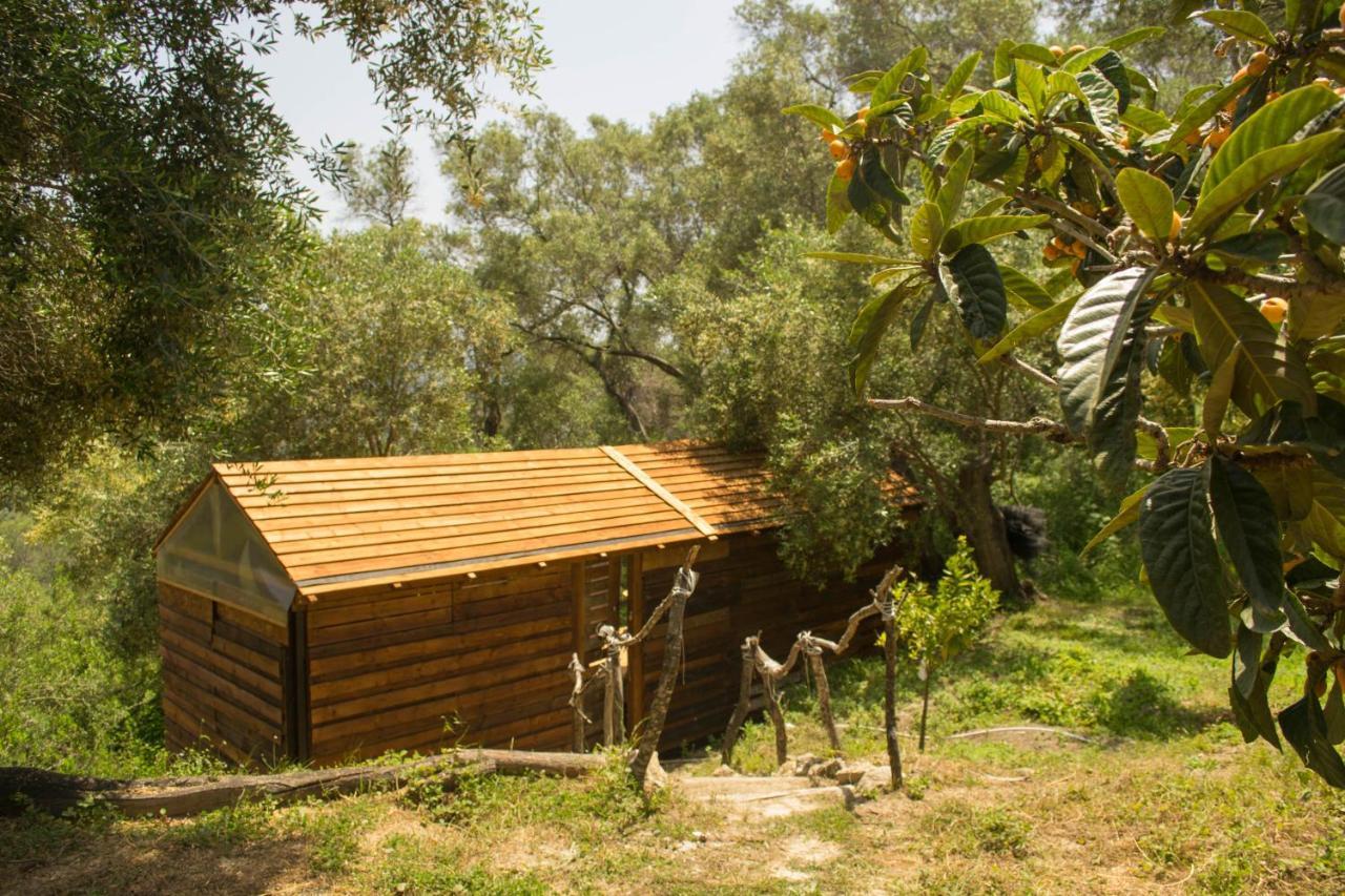Pelekas Olive Grove Oasis Room No4 Exterior foto